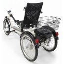 DRAISIN Dreirad - Umbau auf Ansmann Motor 60 Nm -...