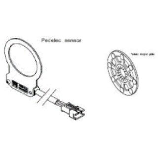 PAS Sensor f&uuml;r PURE + Magnetscheibe mit 8 Magneten Stecker Rund 4polig Kabel&auml;nge 250mm