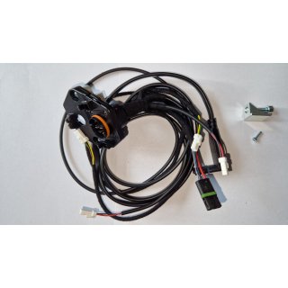 Kabelbaum Z20/Z25 - V10 mit Mounting Plate 1594629